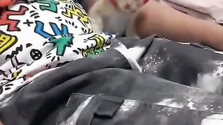 Cat being played with