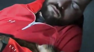 Owner reacts with cat