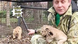 Pets & Animals 7