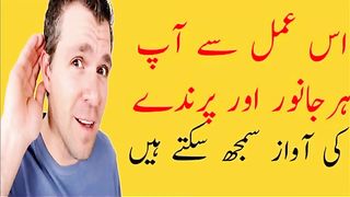 Janwaro se bt krne ka tarika