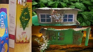 Miniature house