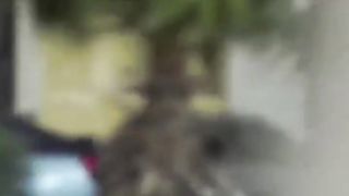 Israel War | IDF Strike in Gaza - West Side | Oct 18, 2023 | RCF