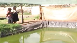 Kenya's highlands farmers embracing fish farming as an alternative source of income