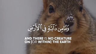 Abdul Aziz Al Zahrani -  Quran Tilawat -  WhatsApp status - Beautiful Quran recitation