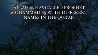 Different names of Prophet Muhammad PBUH.❤️ #viral #trending #islamicstatus # #nasheed #shorts
