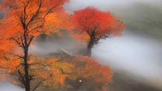Pinterest-Krishna-Beautiful-Video.
