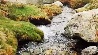 Natural video 74