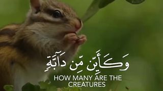 Quran Tilawat -  WhatsApp status - Beautiful Quran recitation #Shorts_6