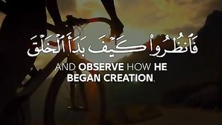 Quran Tilawat -  Whatsapp status - Beautiful Quran recitation 9