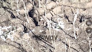 Ukraine Russia War | Drone Drops on AFU Positions by Scouts of the 36th Brigade | Northeast | RCF