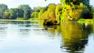 Natural View | Relax and Calm | Viral Video | Peaceful Environment | #nature #febspot