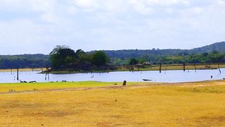 PANKULAM
