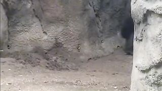 Tiktok funny vidéos 5