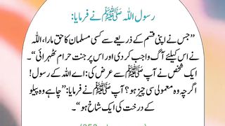 اسلامی معلومات 413