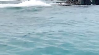 Amphibious Tank < 1 >