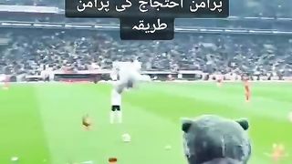 amazing protest