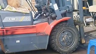 Funny Dog Viral Video 27