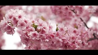 and Life Presents:ঐ খুঁটিহীন নীল আকাশ