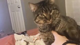 Funny tiktok compilation ep4