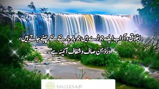 Aqwal e Zareen | Hazrat Ali RA Quotes | Urdu Quotes 7