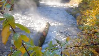 Nature 142