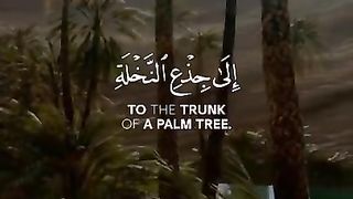 Quran Tilawat -  WhatsApp status - Beautiful Quran recitation 2