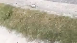 If you laugh, you restart pt 147