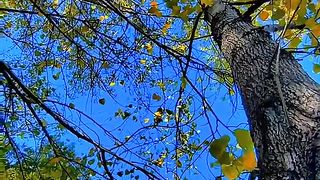 Nature 143