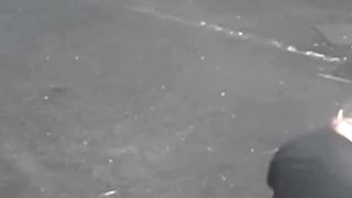 Man get hit by a Pigeon