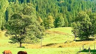 Nature 144