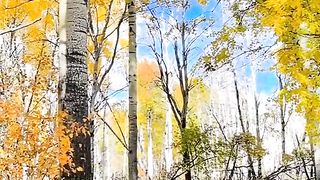 Nature 145