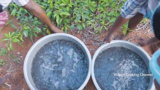 10 MILLION TINY FISHES | Ayira Meen | Rare River Fish Cleaning and Cooking In Village | Fish Recipes