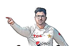 Cricket lover 9