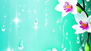 Islahi video