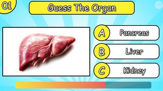 How Many Human Body Parts Can you Guess?