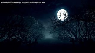 Full Moon On Halloween Night Loop Video Forest Copyright Free