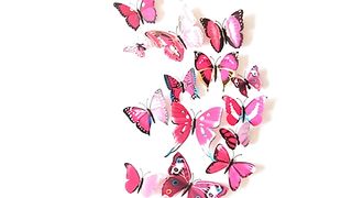 butterflies paste on wall