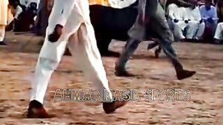 #Mubeen_khan_Akuka #horsedance #fakhra_Nelli #club #viral_video#beutifullwhitehorse