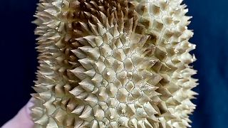 Tasting The World's Smelliest Fruit (Durian)