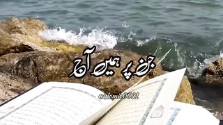Allah Ne Irshad Farmara -  status #shorts #ytshorts