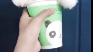 Funny animals - Cute dogs doing funny things...