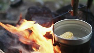 Solo Camping in early summer . the best steak.- canvas lavvu, bushcraft, ASMR, 4K