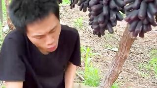 SnapInsta.io-Chinese farmer and his Grapes fruit garden