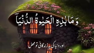 Beautiful Quran 8