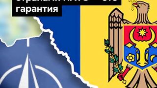 ПОЙНТ МОЛДОВА 51