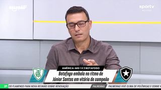 PERRI ESTÁ SENDO DECISIVO NA CAMPANHA DO BOTAFOGO NO BRASILEIRÃO | Seleção sportv | sportv