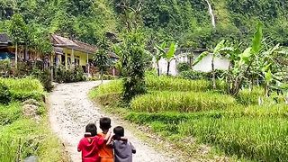 Rural Atmosphere Near The Waterfall