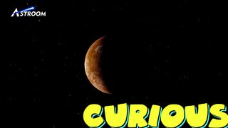 What did JAMES WEBB SEE in TRAPPIST-1