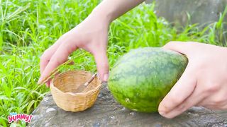 Catch and Cook Tiny Fish in Miniature Kitchen - AMAZING Fish Trap with Watermelon