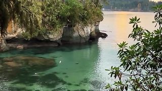Nature 146